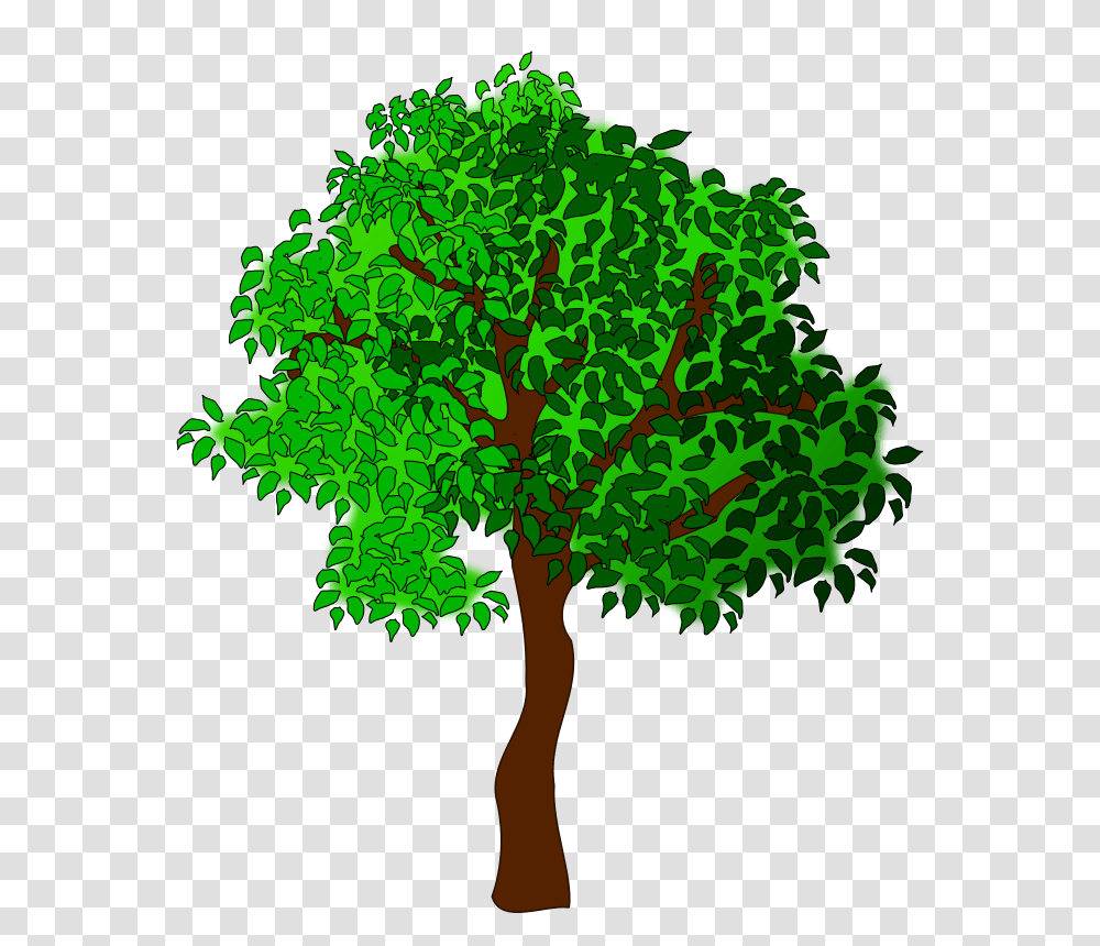 Free Tree Big, Plant, Vegetation, Leaf, Green Transparent Png