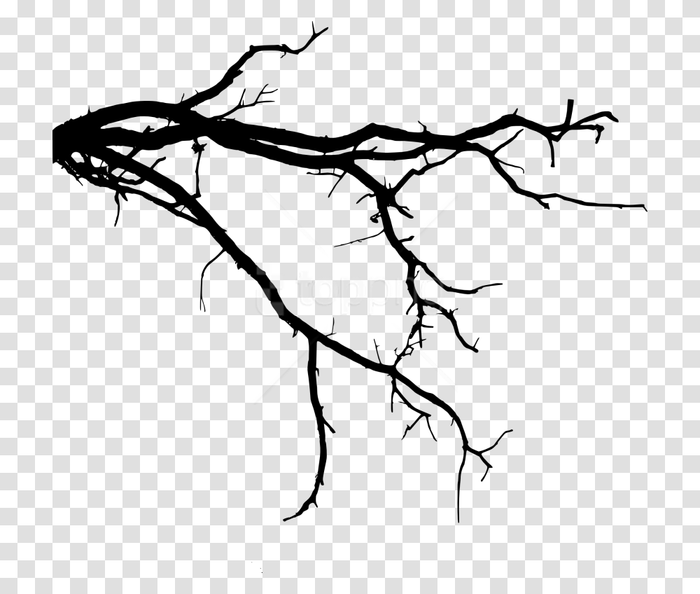 Free Tree Branch, Barbed Wire, Plant, Fence Transparent Png