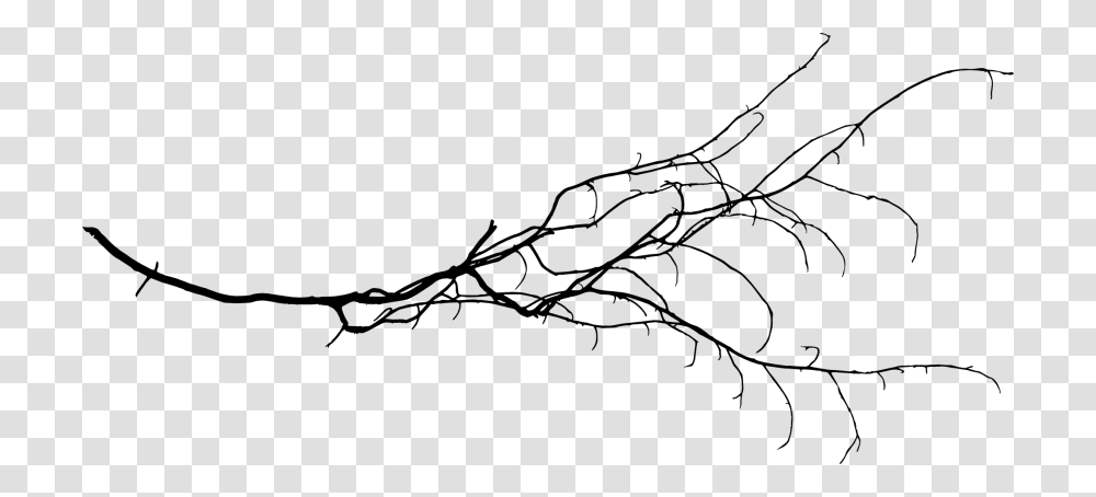 Free Tree Branch Images Bransh, Plant, Animal, Green, Bee Eater Transparent Png