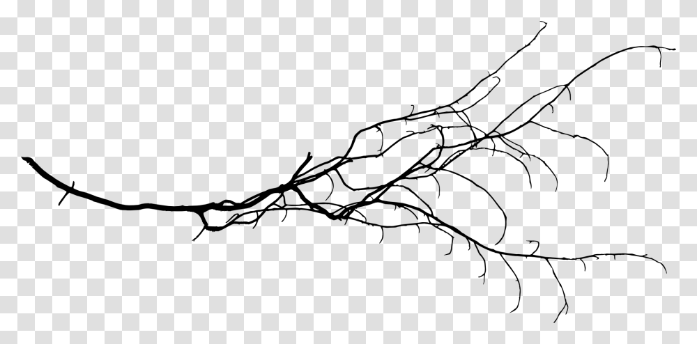 Free Tree Branch, Plant, Root, Animal, Drawing Transparent Png