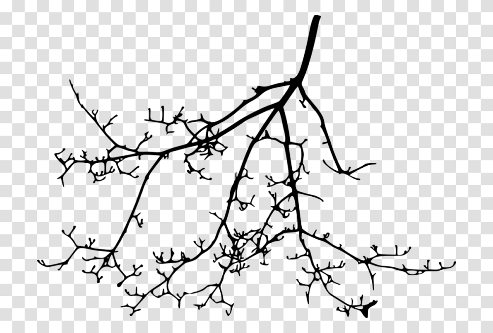 Free Tree Branch Silhouette Images Portable Network Graphics, Plant, Leaf, Root, Bird Transparent Png