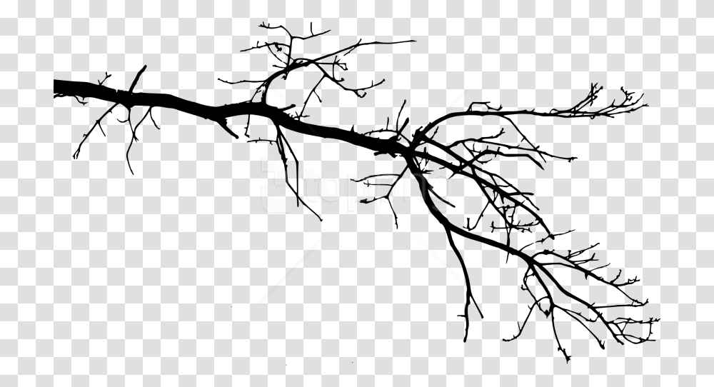 Free Tree Branch Tree Branch Drawing, Plant, Root, Plot Transparent Png