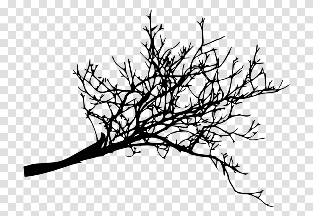 Free Tree Branches Silhouette Images, Plant, Nature, Outdoors, Flower Transparent Png