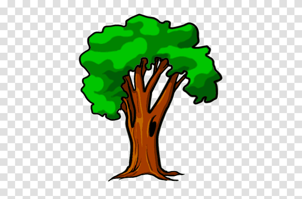 Free Tree Cartoon, Plant, Vegetable, Food, Root Transparent Png