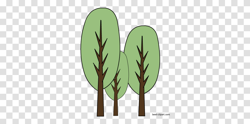 Free Tree Clip Art Images In Format Pine Family, Plant, Grass, Leaf, Vegetable Transparent Png