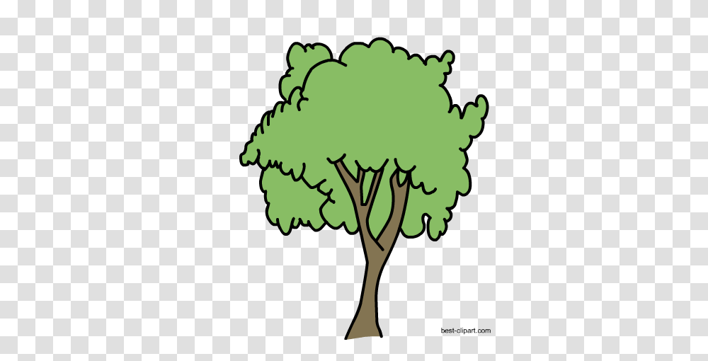 Free Tree Clip Art Images In Format, Plant, Pattern, Floral Design Transparent Png