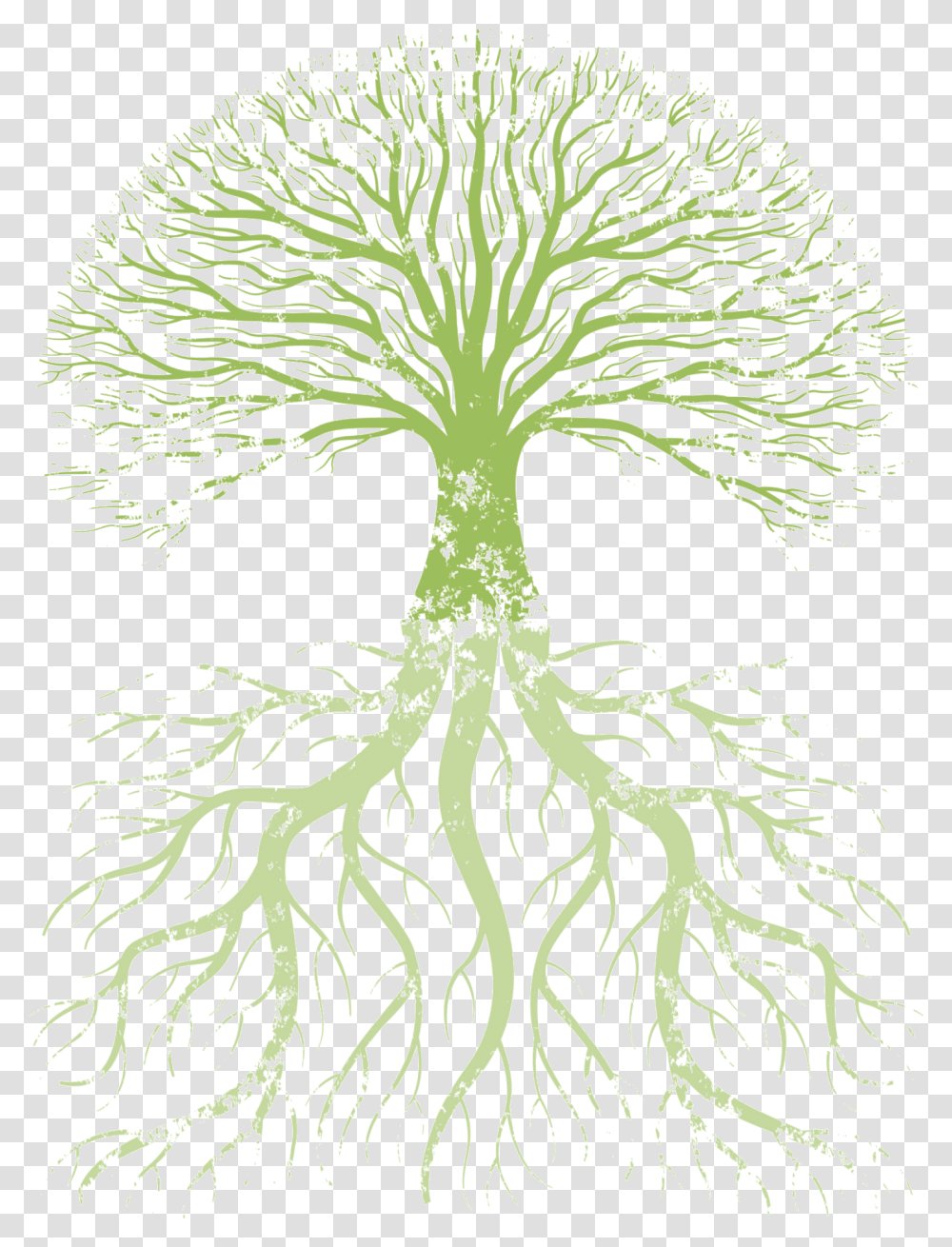 Free Tree Download Art, Plant, Root Transparent Png