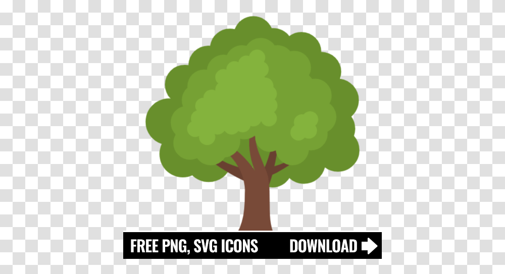 Free Tree Icon Symbol Download In Svg Format Youtube Icon Aesthetic, Plant, Vegetable, Food, Graphics Transparent Png