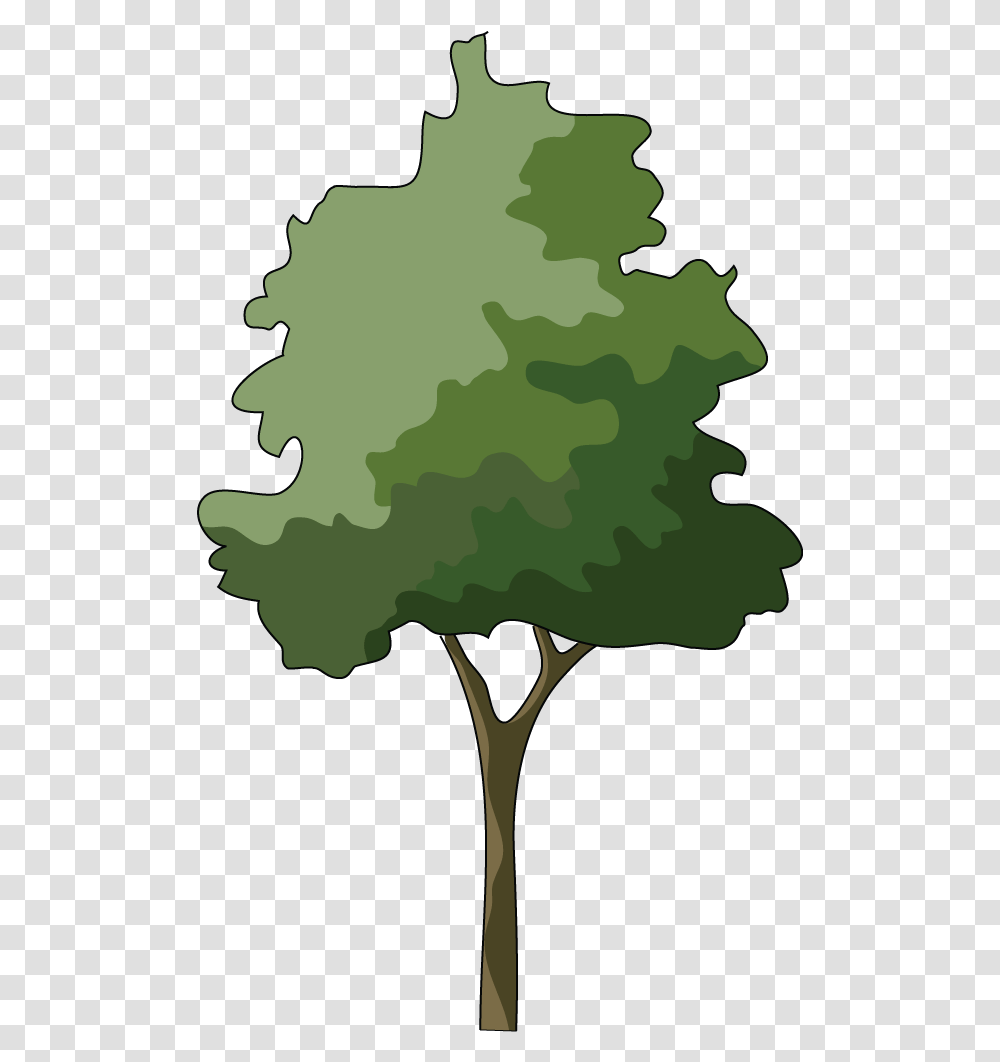 Free Tree Illustration Download Tree Elevation Illustration, Military Uniform, Plant, Person, Human Transparent Png