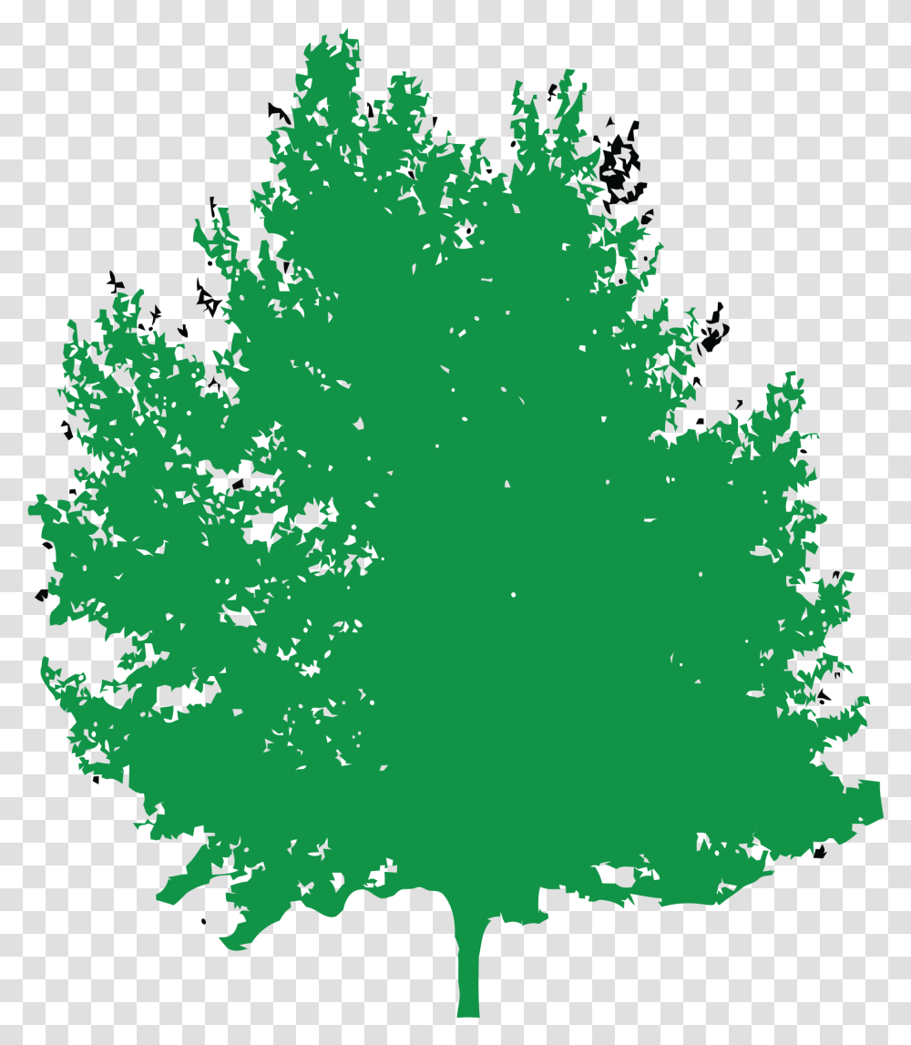 Free Tree Konfest, Plant, Ornament, Christmas Tree, Fractal Transparent Png