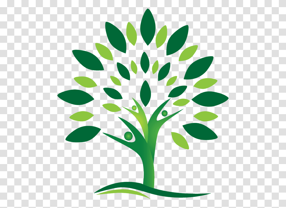 Free Tree Logo, Plant, Green, Vegetable, Food Transparent Png