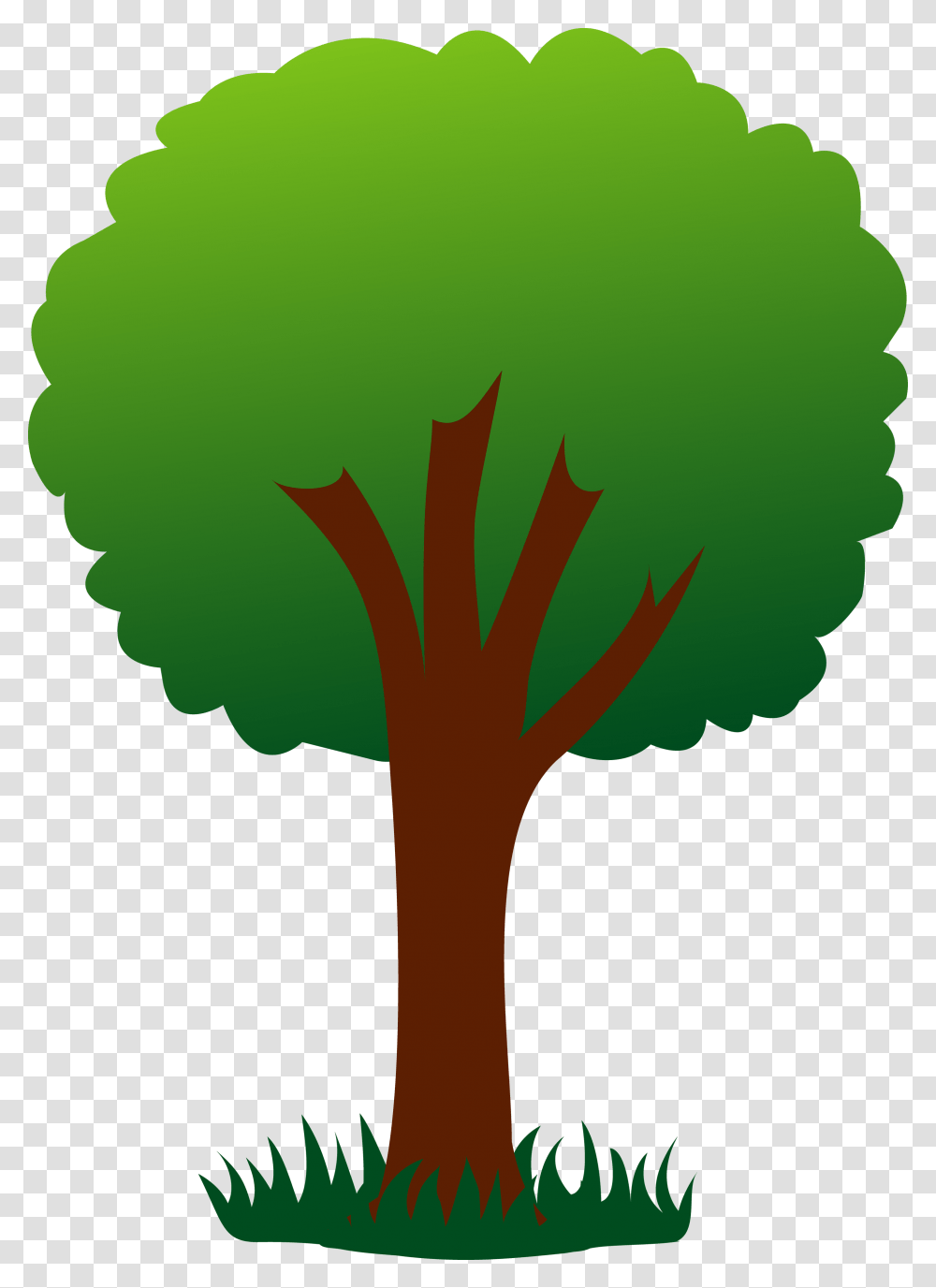 Free Tree, Plant, Palm Tree, Arecaceae, Cross Transparent Png