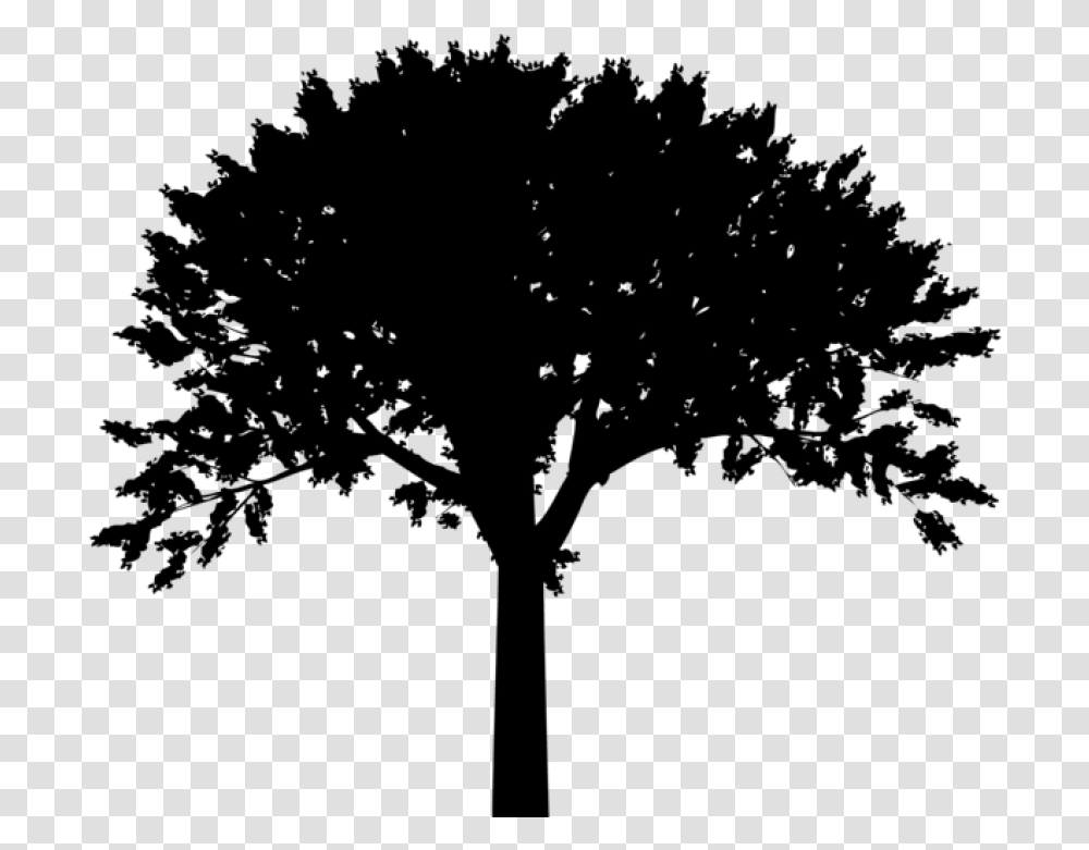 Free Tree Silhouette Tree Silhouette Background, Gray, World Of Warcraft Transparent Png