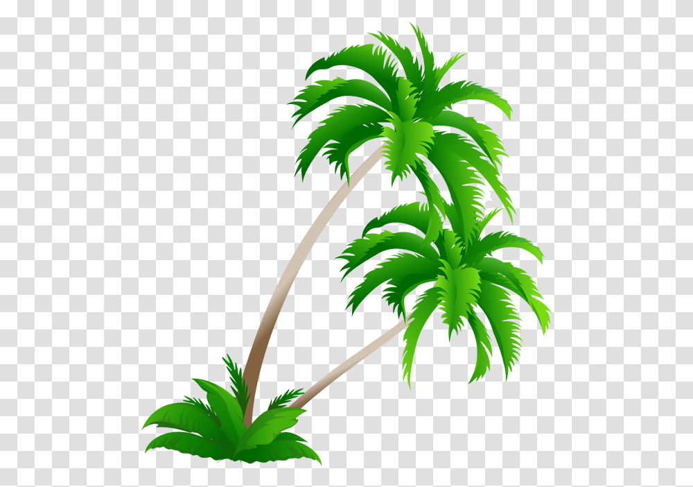 Free Tree Tall, Palm Tree, Plant, Arecaceae, Green Transparent Png