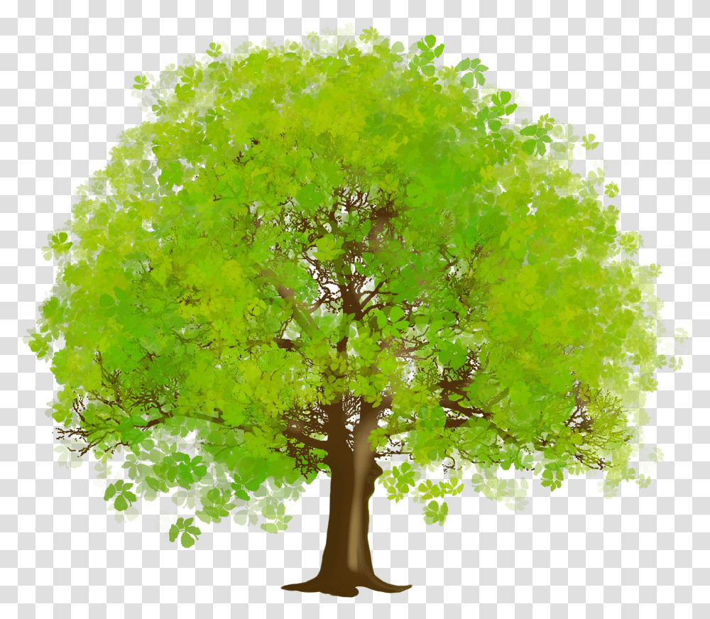 Free Trees Image Download Clip Art Green Tree Clipart, Plant, Bush, Vegetation, Maple Transparent Png
