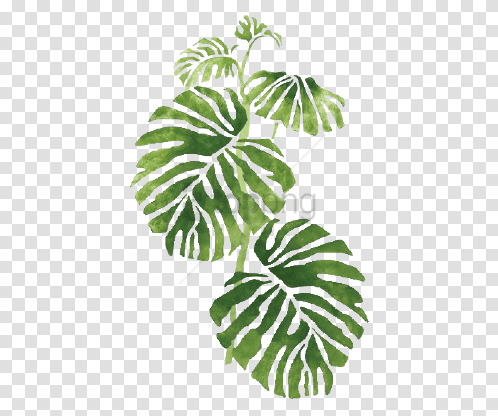 Free Tropical Image With Leaves, Leaf, Plant, Green, Tree Transparent Png