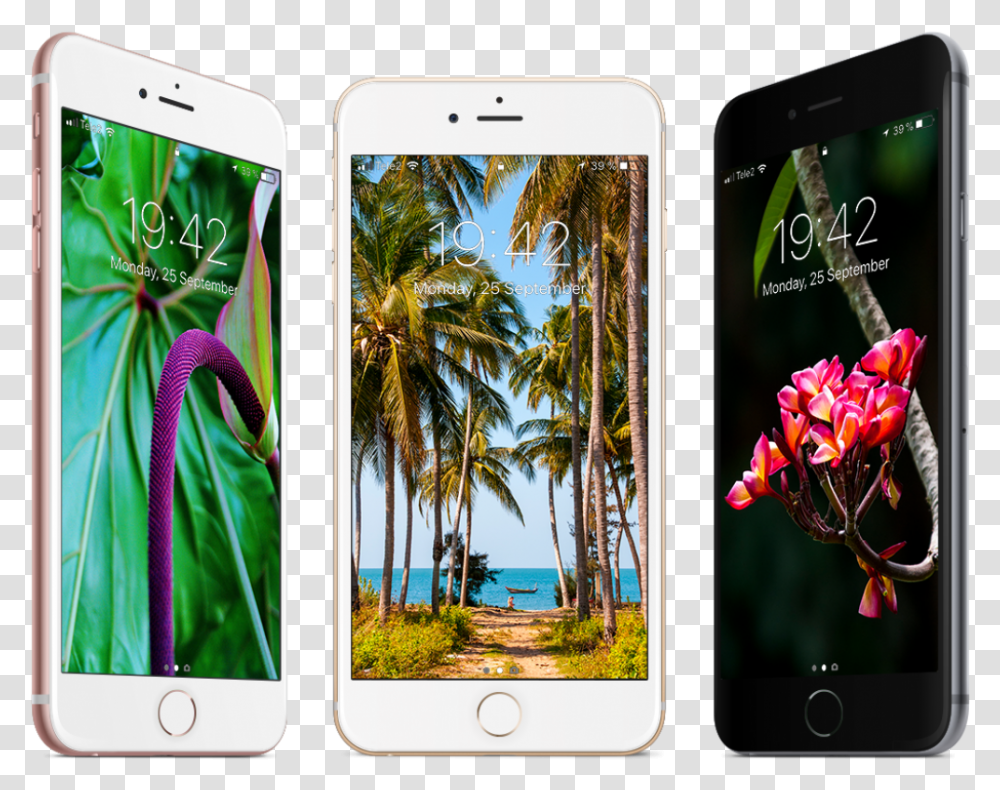 Free Tropical Wallpapers For Iphone Iphone 8 Tropical, Mobile Phone, Electronics, Cell Phone Transparent Png