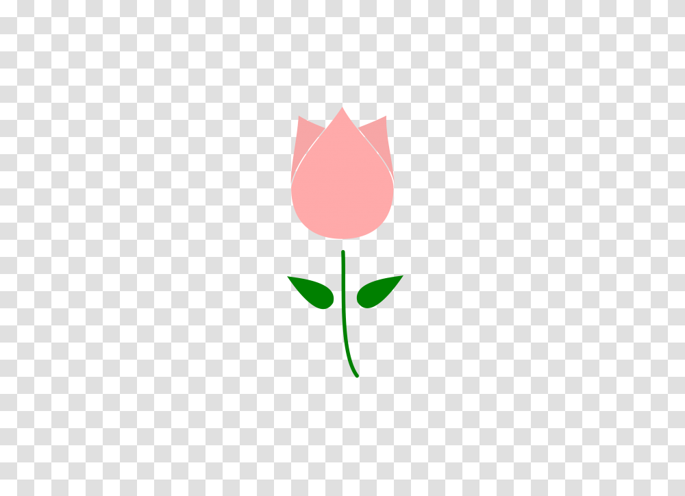 Free Tulip Clip Art Pictures, Plant, Rose, Flower, Blossom Transparent Png