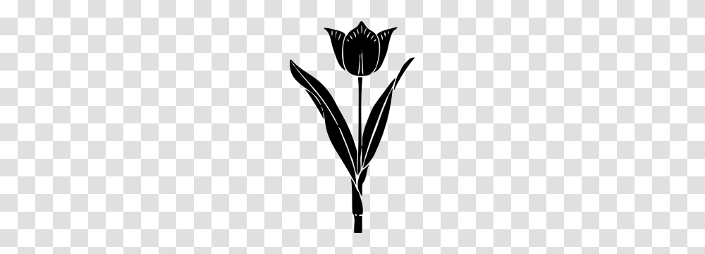 Free Tulip Clipart Tul P Icons, Gray, World Of Warcraft Transparent Png