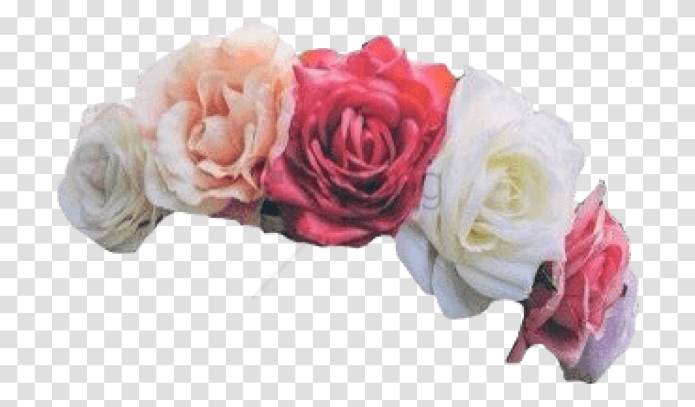 Free Tumblr Flower Crown Image Aesthetic Flower Crown, Plant, Blossom, Rose Transparent Png