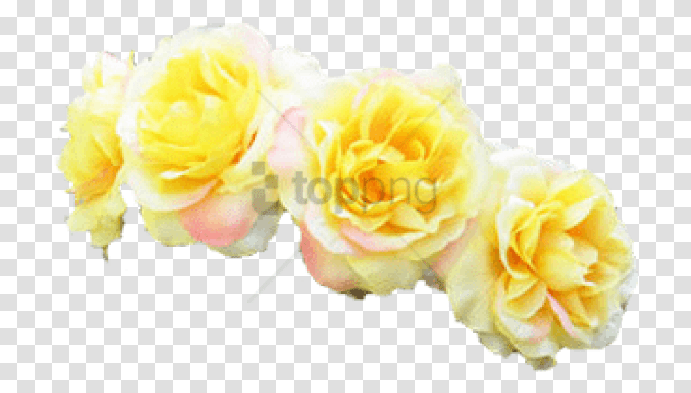 Free Tumblr Flower Crown Image Background Yellow Flower Crown, Plant, Rose, Blossom, Petal Transparent Png