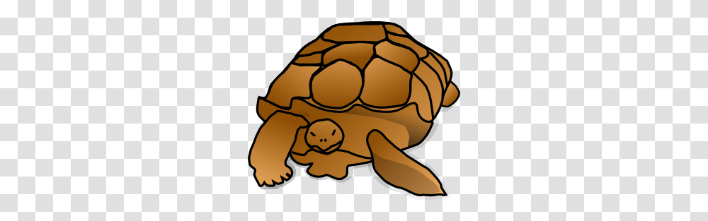 Free Turtle Clip Art That Is Slow And Steady, Sea Life, Animal, Food, Soccer Ball Transparent Png