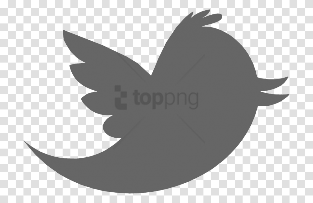 Free Twitter Logo Gray Images Background Grey Twitter Icon, Animal, Bird, Dove, Pigeon Transparent Png