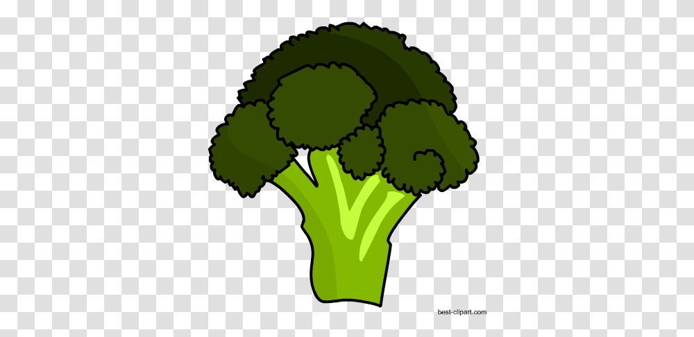 Free Vagetables Clip Art Broccoli, Plant, Vegetable, Food Transparent Png