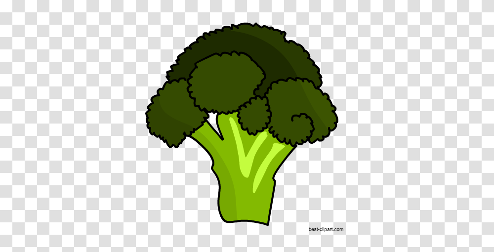 Free Vagetables Clip Art, Plant, Broccoli, Vegetable, Food Transparent Png