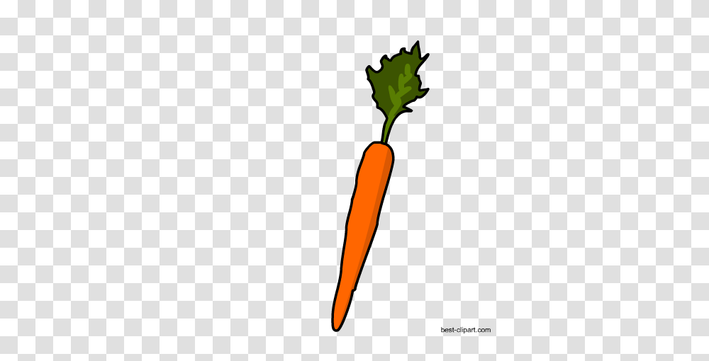 Free Vagetables Clip Art, Plant, Carrot, Vegetable, Food Transparent Png