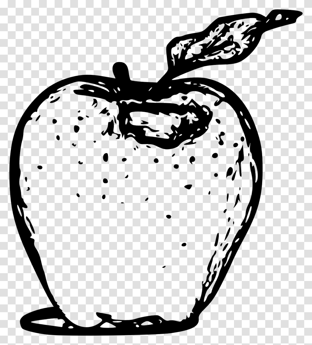 Free Vector Apple Line Art Apple Black And White Images In, Gray Transparent Png
