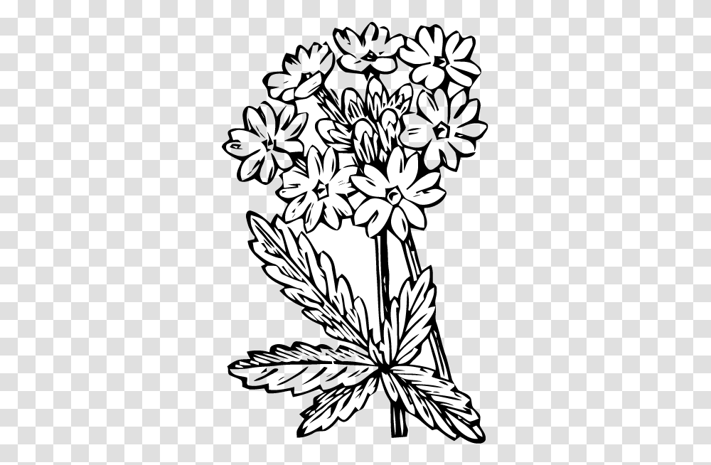 Free Vector Art Verbena Images, Floral Design, Pattern, Plant Transparent Png