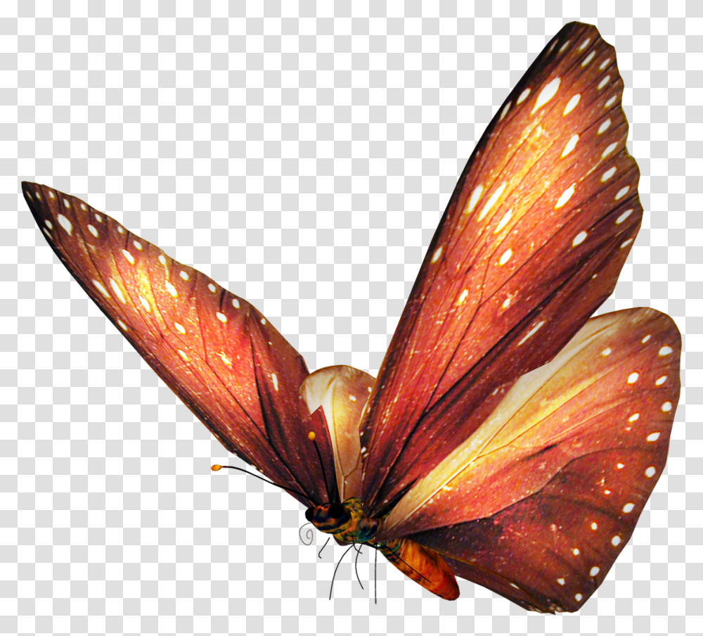 Free Vector Butterfly, Leaf, Plant, Bird, Animal Transparent Png