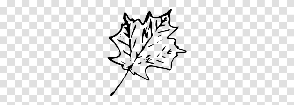 Free Vector Canadian Maple Leaf, Gray, World Of Warcraft Transparent Png
