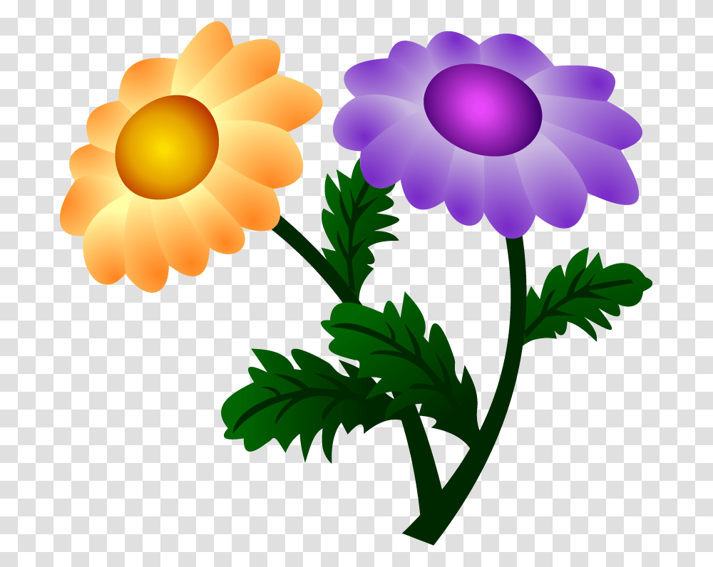 Free Vector Chrysanthemum, Plant, Flower, Blossom Transparent Png