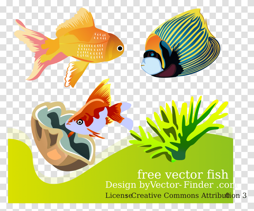 Free Vector Fish Clip Arts Fish All Free Download, Animal, Goldfish, Angelfish, Sea Life Transparent Png