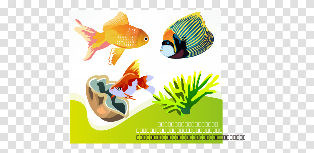 Free Vector Fish Svg Clip Arts Cartoon Fish Plants, Animal, Goldfish, Advertisement, Poster Transparent Png