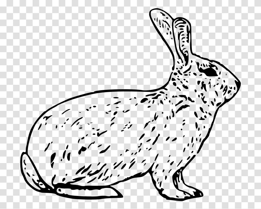 Free Vector French Rabbit Arctic Hare Clipart Black And White, Gray, World Of Warcraft Transparent Png