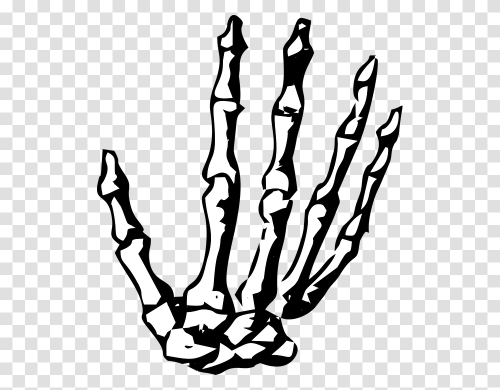 Free Vector Graphic On Pixabay Skeleton Hand Clipart, Silhouette, Person, Human, Stencil Transparent Png