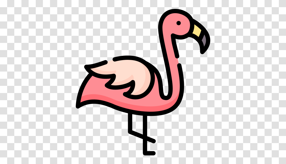 Free Vector Icons Designed Girly, Animal, Flamingo, Bird, Beak Transparent Png