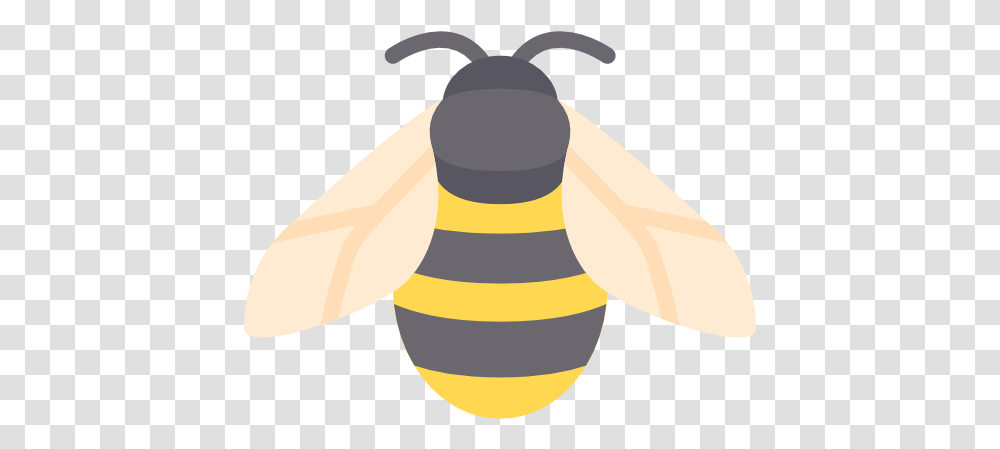 Free Vector Icons Of Animals Bee Icon Free, Honey Bee, Insect, Invertebrate Transparent Png