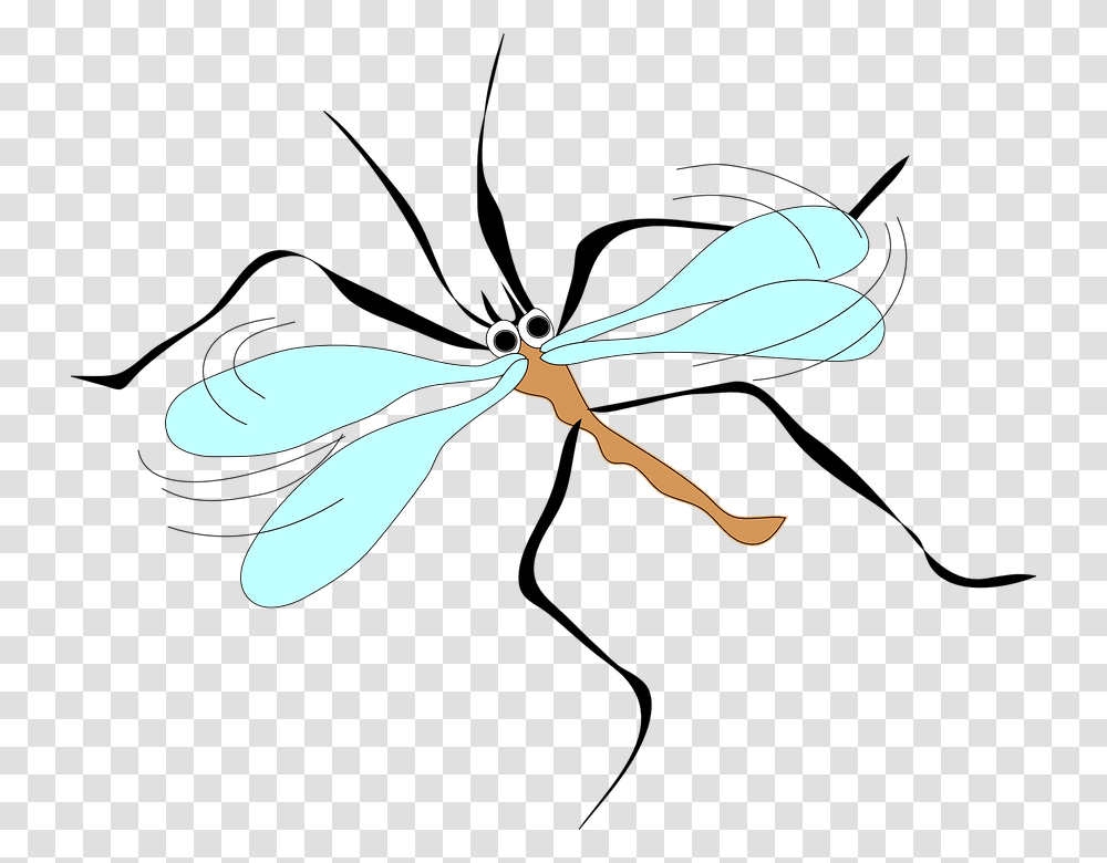 Free Vector Moschito Stecchito Clip Art Mosquito Clip Art, Insect, Invertebrate, Animal, Dragonfly Transparent Png