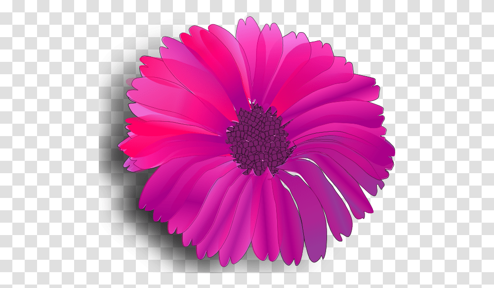 Free Vector Pink Flower Clip Art Pink Flower Clip Art, Plant, Petal, Blossom, Daisy Transparent Png