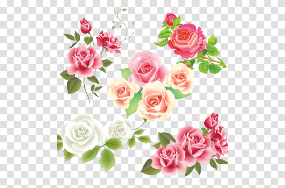 Free Vector Pink Rose, Floral Design, Pattern Transparent Png