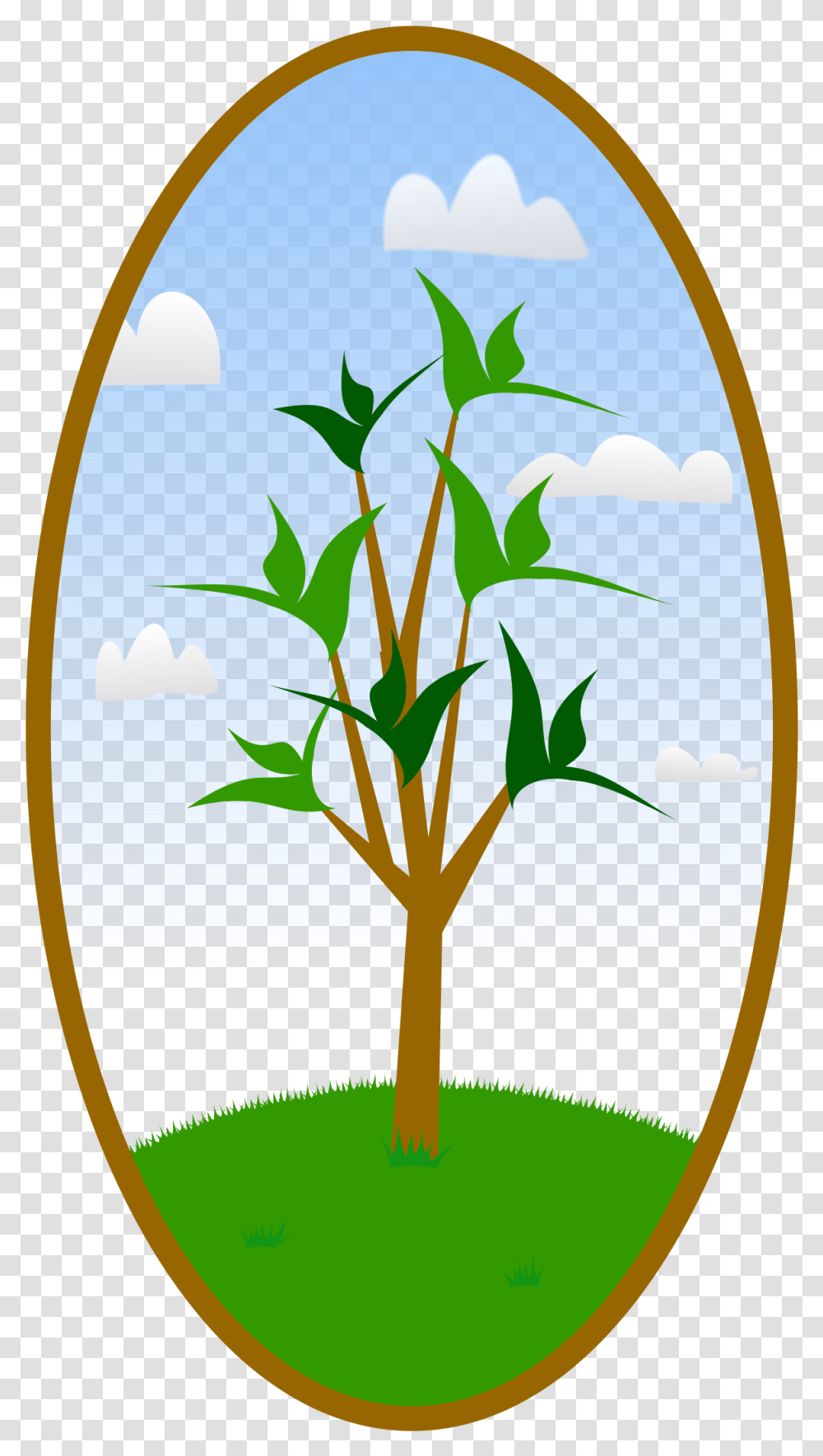 Free Vector Tree Clipart Picture Landscaping, Plant, Flower, Blossom, Fisheye Transparent Png