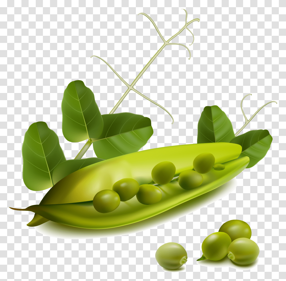 Free Vector Vegetables, Plant, Pea, Food, Green Transparent Png