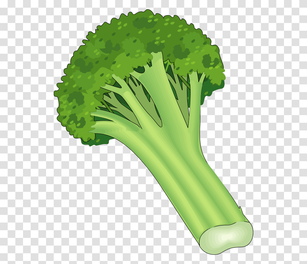 Free Vector Vegetables Single Vegetable Clipart, Broccoli, Plant, Food, Banana Transparent Png