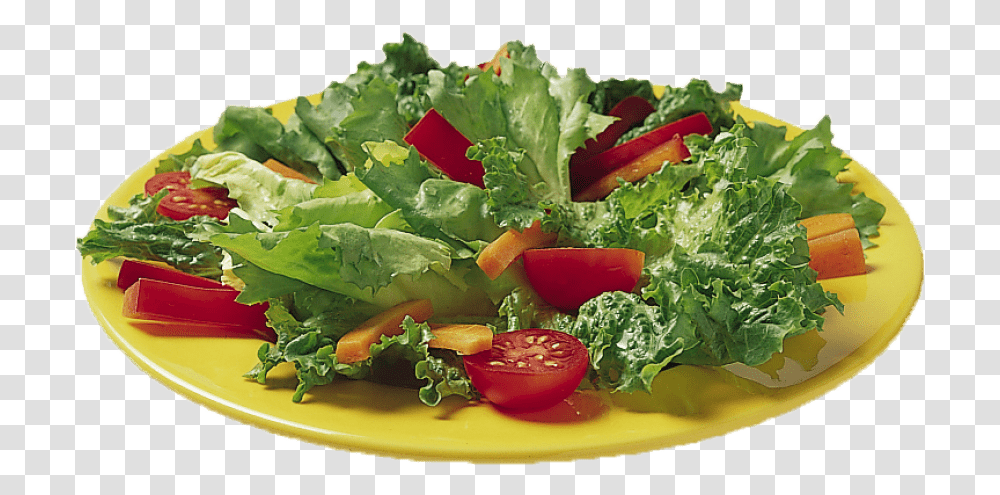 Free Vegetable Salad Images Salad, Plant, Food, Lettuce, Dish Transparent Png