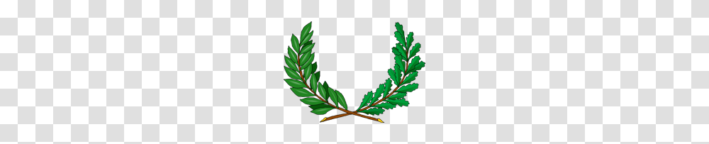 Free Vines Clipart V Nes Icons, Plant, Tree, Conifer, Leaf Transparent Png