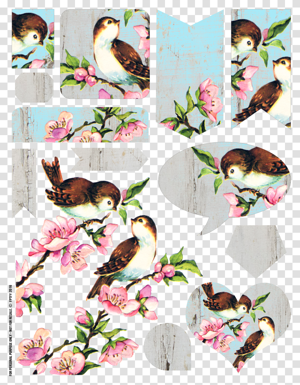 Free Vintage Bird Collage Sheet Vintage Bird No Background Transparent Png